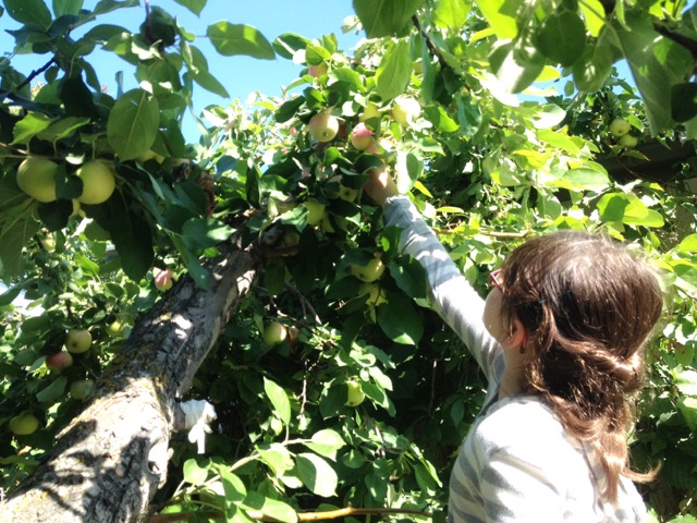 Get outdoors and explore your topic