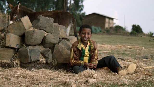 Superfood Chain Ethiopia