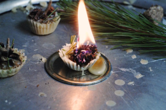 Conifer Cone Fire Starters EcoParent magazine