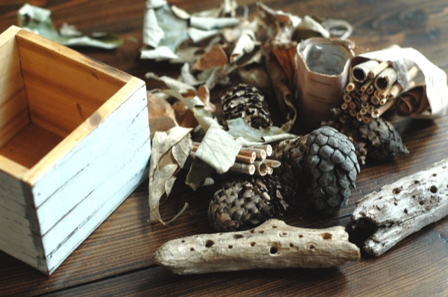 Hollow reeds, wood, bark, leaves and pine cones are great for bee homes